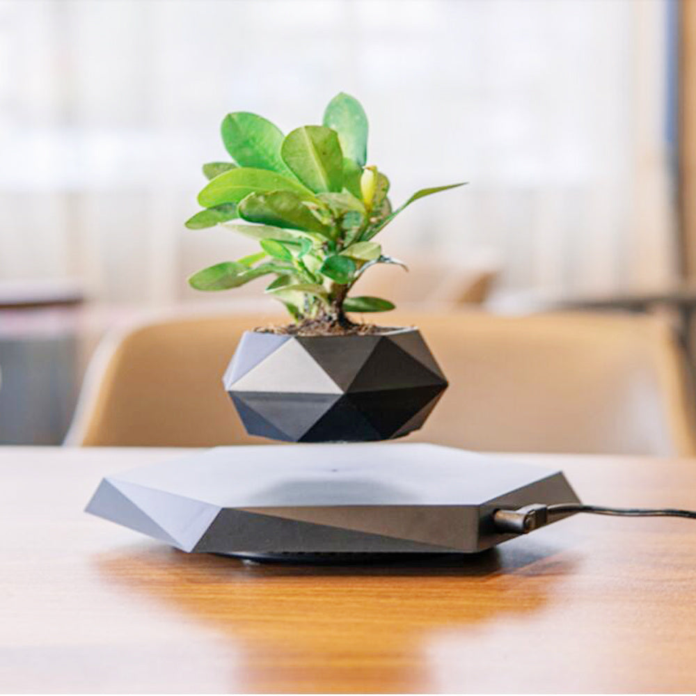 Floating Magnetic Levitating Flower pot Home Office Desk Decor Creative Gift